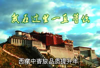 西藏中青旅